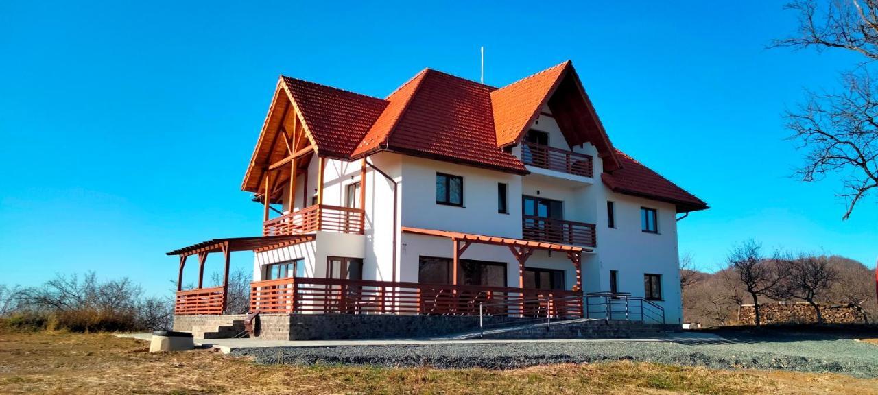 Casa Comilor Bed & Breakfast Surdesti  Exterior photo