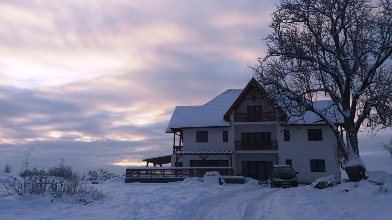 Casa Comilor Bed & Breakfast Surdesti  Exterior photo