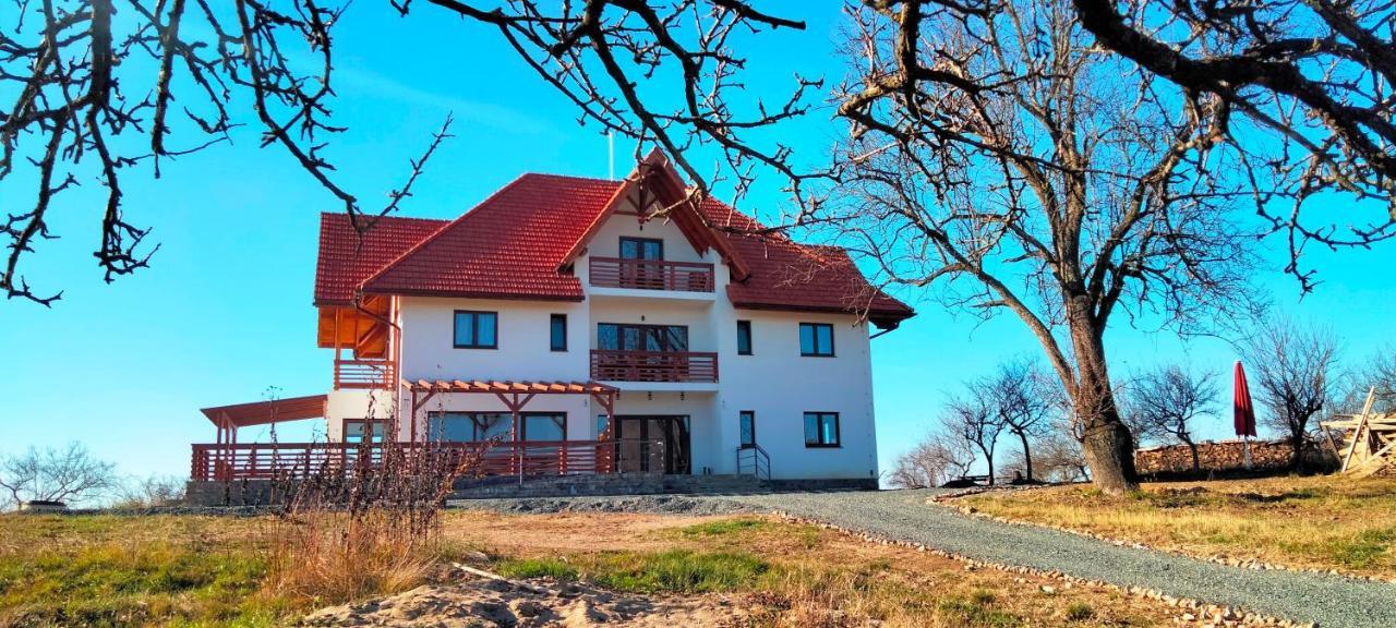 Casa Comilor Bed & Breakfast Surdesti  Exterior photo